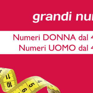 La nuova legge dei “Grandi Numeri” di Pittarosso